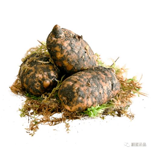 有料 冬季滋補(bǔ)食材到貨,集美們安排起來(lái)