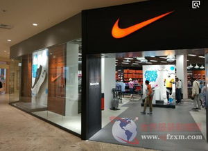 耐克本土市場(chǎng)銷售進(jìn)一步下滑 鞋帽零售面臨的挑戰(zhàn)與前景